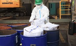 494 Karton Udang PT Bahari Makmur Sejati Dimusnahkan Usai Terkontaminasi Cs-137