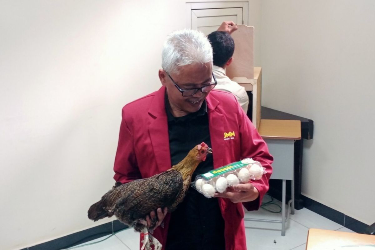 Dosen Peternakan Universitas Muhammadiyah Malang (UMM), Ir. Suyatno, M.Si menciptakan gen ayam kampung petelur super hasil ciptaannya.