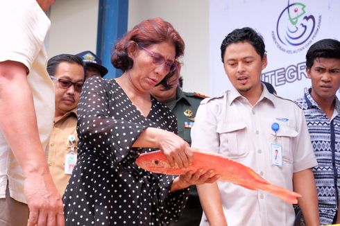 Menteri Susi Minta BUMN Dukung Industri Perikanan Nasional