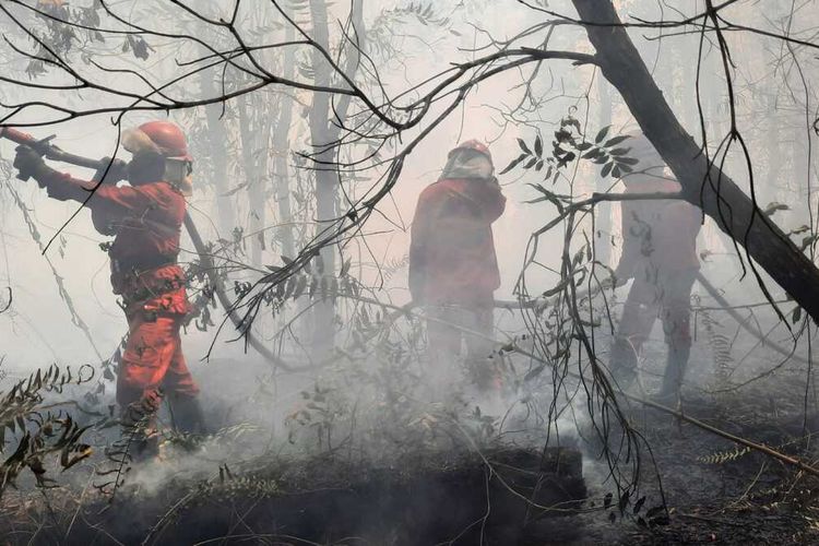Tim Manggala Agni sedang melakukan proses pemadaman kebakaran hutan dan lahan di OKI yang menyebabkan terjadinya kabut asap di Palembang.
