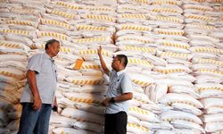 Masuk Musim Tanam Kedua, Kementan Jamin Ketersediaan Pupuk Subsidi