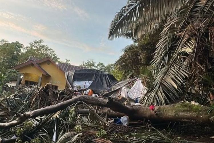 Hujan Angin di Bone, 3 Pohon Timpa Tenda Pernikahan: Ibu Mempelai Meninggal, 5 Orang Luka