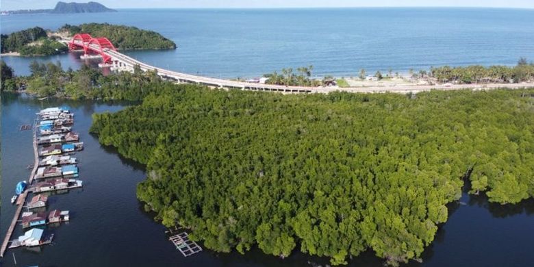 Hutan Perempuan dan latar belakang Jembatan Youtefa