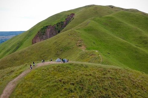 Bukit Holbung: Daya Tarik, Harga Tiket, dan Rute