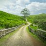 Malino Highlands di Sulawesi Selatan: Harga Tiket, Jam Buka, Rute, dan Resort