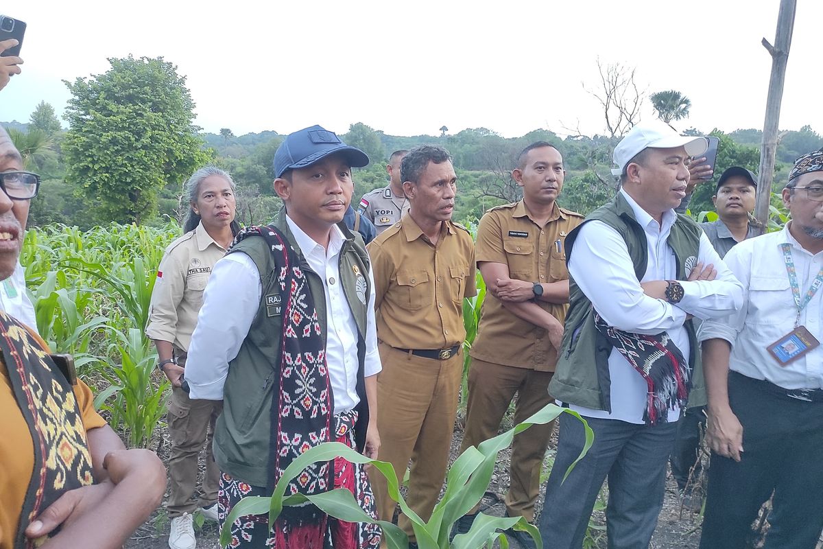 Tinjau Perhutanan Sosial di NTT, Menhut Raja Juli: Ada Kendala Air