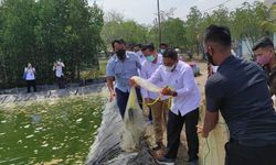 Tingkatkan Produksi Perikanan Budidaya, Balai Riset KP dan Politeknik AUP Ciptakan Prototipe Pembekuan Udang