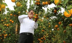 Mentan Lepas Bantuan Sejuta Benih Jeruk Keprok Unggul di Malang