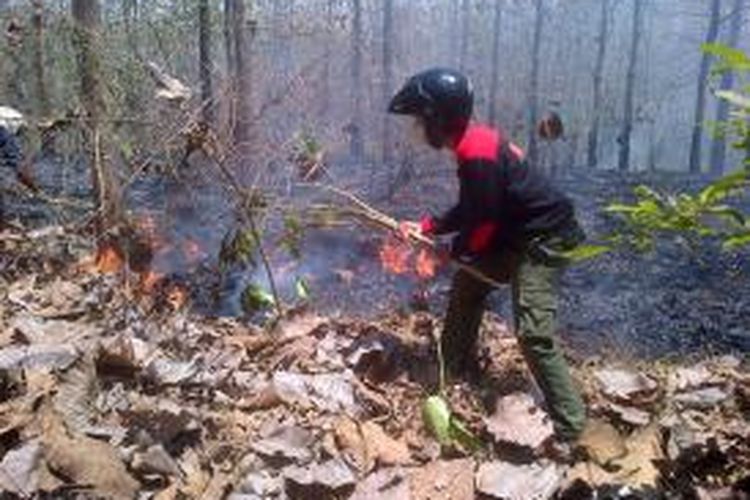 Puluhan hektare hutan lindung yang ditanami pohon jati di wilayah Kabupaten Malang, Jawa Timur terbakar, Selasa (23/9/2014). Penyebab kebakaran belum diketahui.