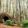 Yogyakarta Tambah 4 Tempat Wisata yang Ikut Uji Coba Pembukaan, Ada Pinus Pengger