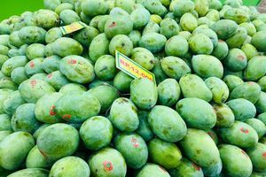 Musim Mangga Tiba, Ini Cara Pilih yang Matang dan Manis ala Penjual Buah