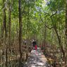 5 Wisata Mangrove di Indonesia, Bisa Jalan di Jembatan Sambil Pesisir Laut