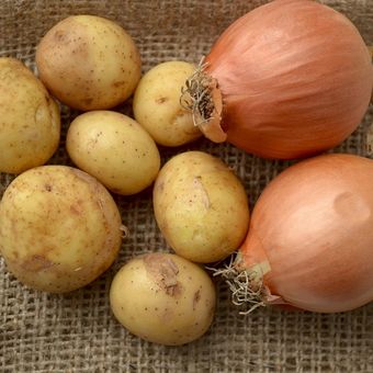 Ilustrasi kentang dan bawang bombai, ilustrasi bawang bombai dan kentang.