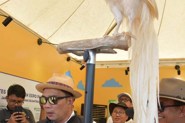 Gubernur Jawa Barat Ridwan Kamil menghadiri acara Kontes Ternak dan Expo Pangan Murah Tingkat Provinsi Jabar di Kiarapayung, Kecamatan Jatinangor, Kabupaten Sumedang, Sabtu (22/7/2023).
