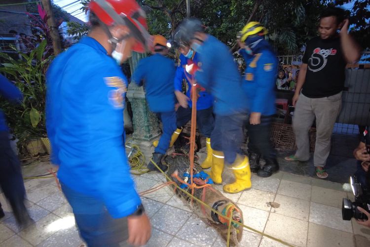 Petugas berhasil evakuasi buaya perliharaan warga di Depok, Sslasa (25/1/2022)./(Istimewa)