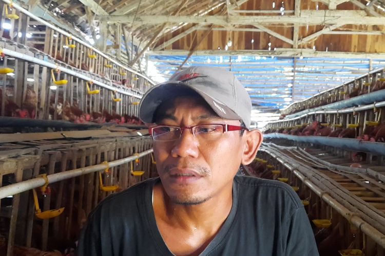 Susanto, peternak ayam petelur menjelaskan kondisi harga telur tidak sesuai dengan harga pakan saat ditemui Kompas.com di Desa Jepangrejo, Blora, Senin(11/10/2021) 