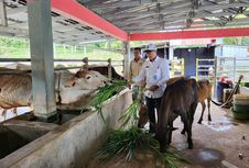 Kemenimipas Optimalkan Aset Negara di Nusakambangan untuk Dukung Ketahanan Pangan