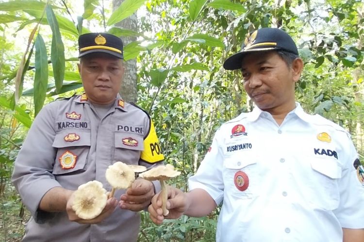 Kepala Desa Karangtalun Lor Kusriyanto dan Kapolsek Purwojati AKP Karseno menunjukkan jamur yang tumbuh liar di Dusun Kaliula, Desa Karangtalun Lor, Kecamatan Purwojati, Kabupaten Banyumas, Jawa Tengah, Rabu (5/7/2023).