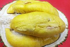 Mencoba Wangi Keuntungan Bisnis Bibit Durian Musang King