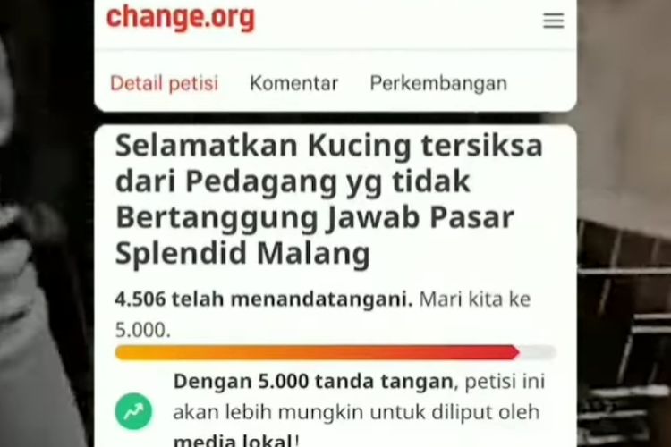 Pasar Splendid yang berada di Kota Malang, Jawa Timur viral setelah adanya petisi di laman change.org untuk menyelamatkan kondisi kucing yang diperjualbelikan secara tidak layak. 