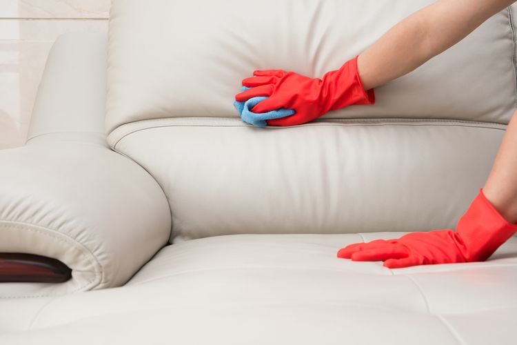 ilustrasi membersihkan sofa kulit