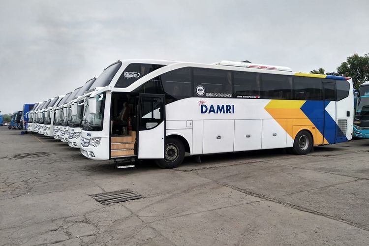 Armada bus Damri, salah satu pilihan transportasi ke Bandara Internasional Soekarno-Hatta 