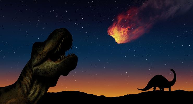 Bagaimana Mamalia Bertahan Setelah Tabrakan Asteroid yang Memusnahkan Dinosaurus