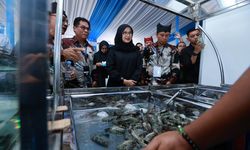 Bupati Ipuk Dukung Forum Shrimp Fair Banyuwangi, Dorong Solusi Ekspor Udang ke AS