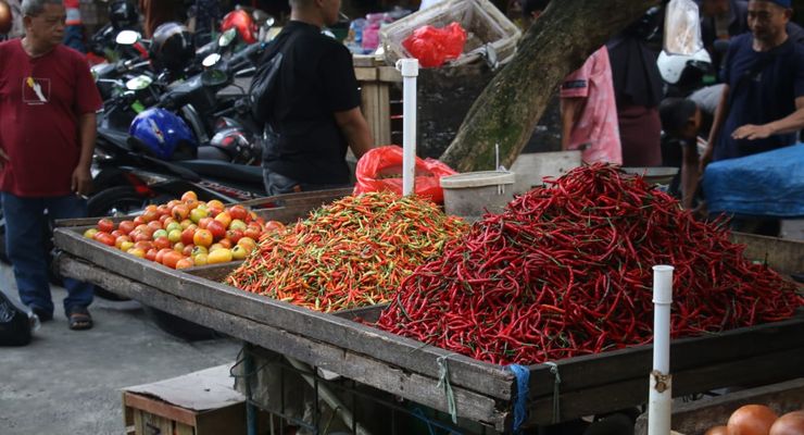 Deflasi Balikpapan dan PPU: Harga Turun Berkat Panen Raya, Tapi Waspada Ancaman Gelombang Laut