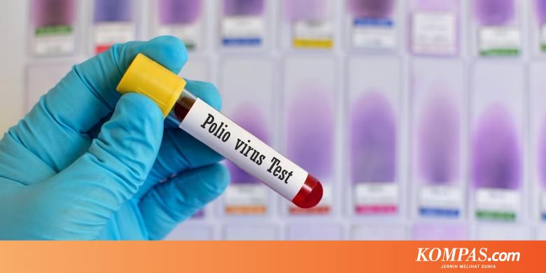 Mengenal Polio, dari Jenis hingga Penyebabnya... - Kompas.com - KOMPAS.com