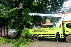 26.600 Pohon Dipangkas, Paling Banyak di Jagakarsa dan Kebayoran Baru