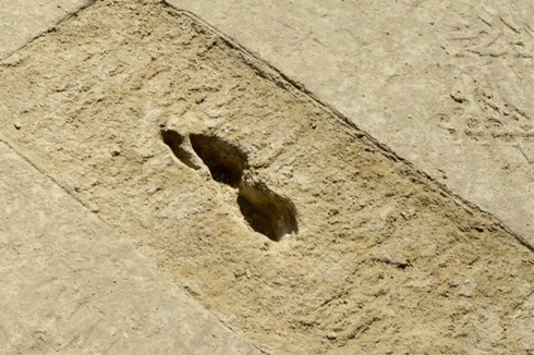 Temuan Langka, Peneliti Ungkap Jejak Kaki Hantu Kuno di Gurun Utah