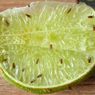Simak, Ini Cara Mencegah Lalat Buah Muncul di Rumah