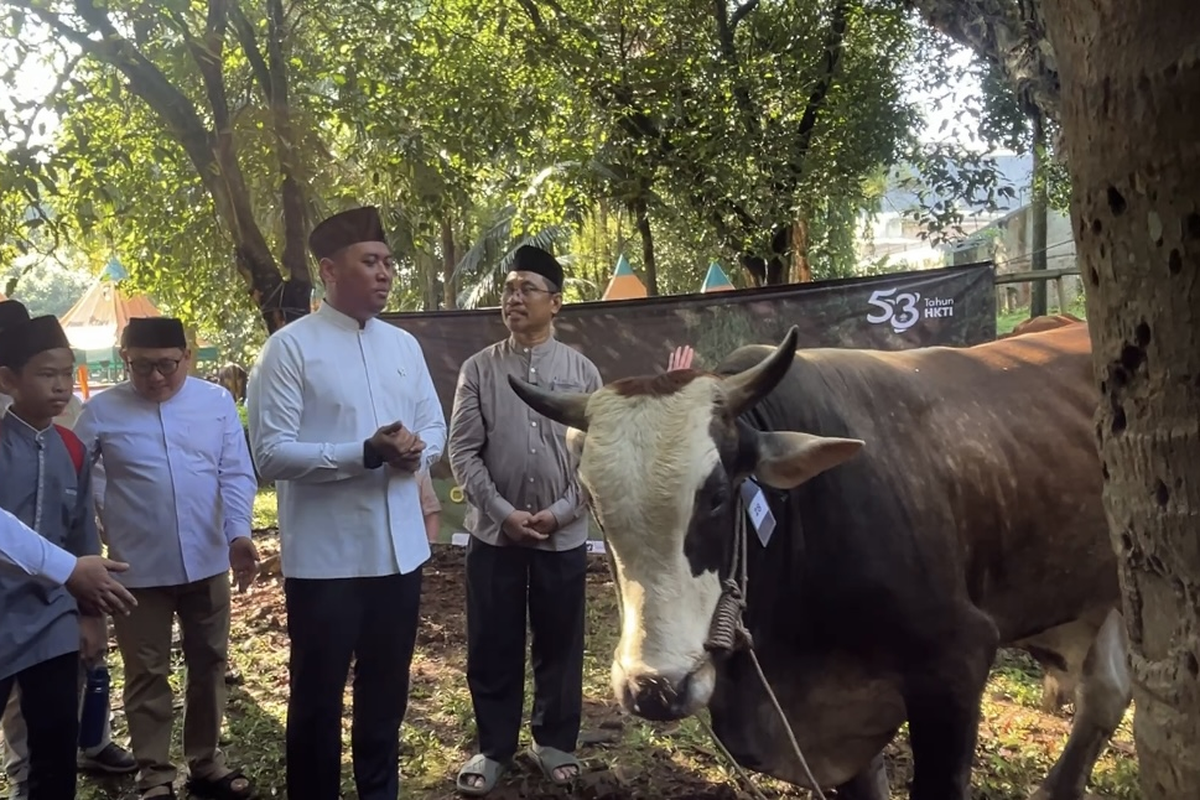 Prabowo Targetkan Swasembada Daging, Wamentan Soroti Kebutuhan Populasi Sapi