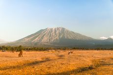 Sabana Tianyar, Tempat Wisata Eksotik ala Afrika di Bali Timur