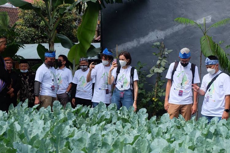 Salah satu program ketahanan pangan Pemerintah Kota Bandung, Buruan Sae, menjadi salah satu inspirasi peserta konferensi U-20 yang digelar di Kota Bandung, 3 hingga 4 Agustus 2022.