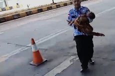 Bayi yang Ditinggalkan di Terminal Pulogebang Dipastikan Sehat meski Ada Bintik-bintik Merah di Wajahnya