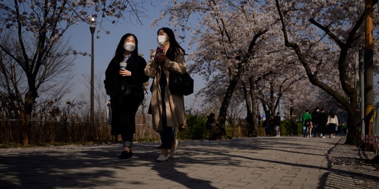 Pejalan kaki yang mengenakan masker untuk mencegah virus corona,berjalan di antara pohon bunga yang mekar di distrik Yeouido, Seoul, 5 April 2020.