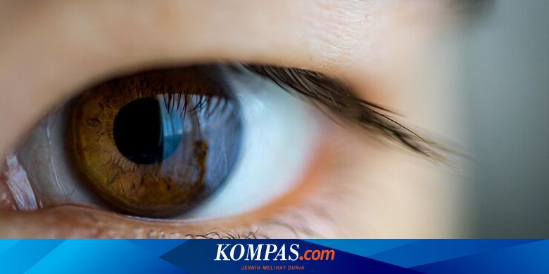 視力障害は、診断の12年前に認知症のリスクを予測できます