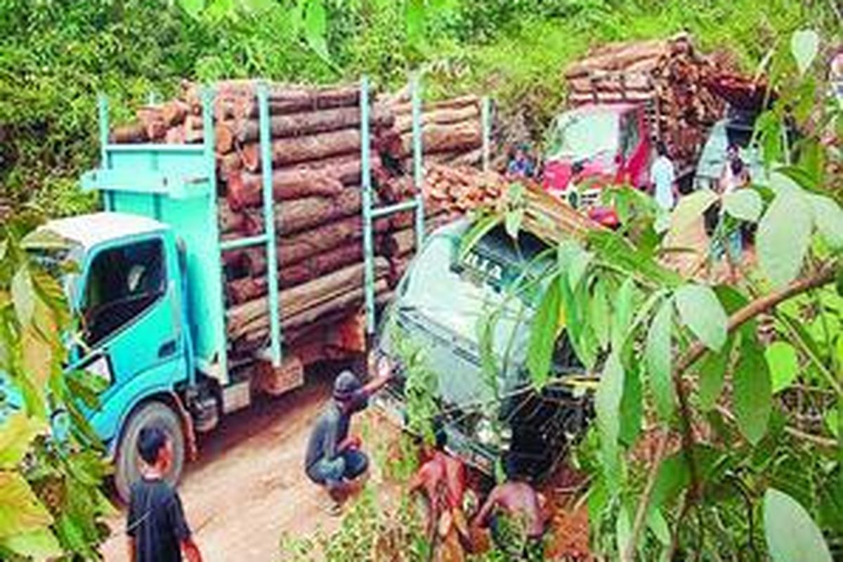 Sejumlah truk pengangkut kayu hasil pembalakan liar.