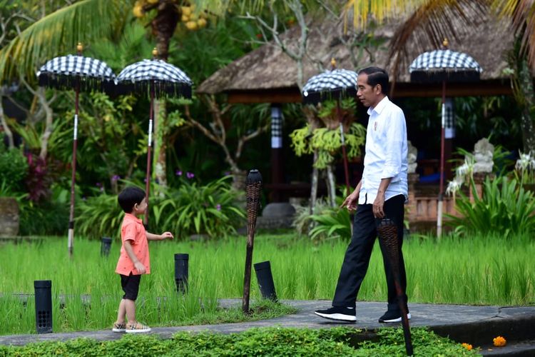 Presiden Joko Widodo dan sang cucu Jan Ethes main di tepi sawah di bilangan Ubud, Bali, Jumat (14/6/2019).
