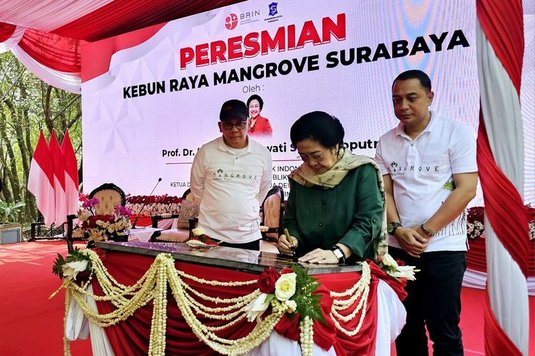 Presiden ke-5 Indonesia sekaligus Dewan Pengarah Badan Riset dan Inovasi Nasional (BRIN) Megawati Soekarnoputri meresmikan Kebun Raya Mangrove Surabaya dengan menandatangani prasasti, Rabu (26/7/2023).