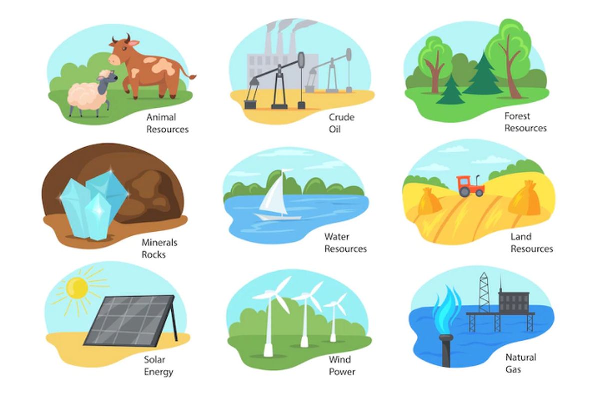 Perbedaan Sumber Daya Hayati dan Non Hayati