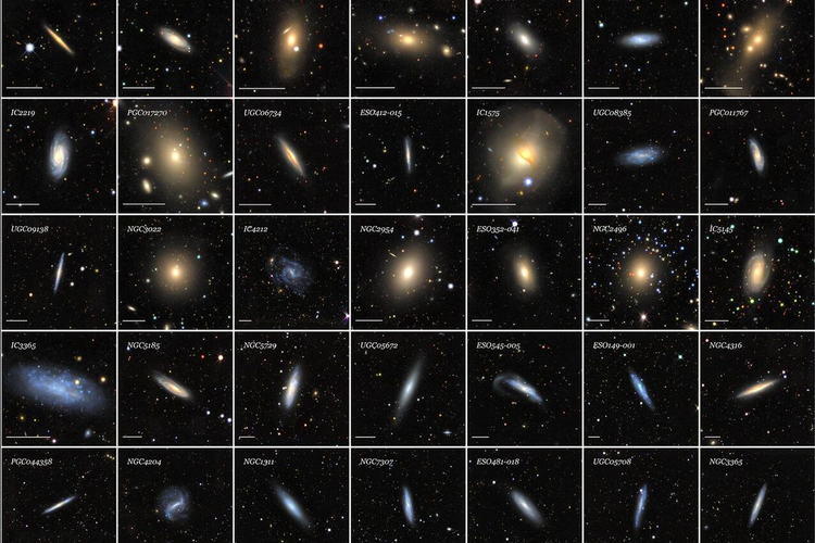 Beberapa gambar galaksi di peta Siena Galaxy Atlas (SGA)
