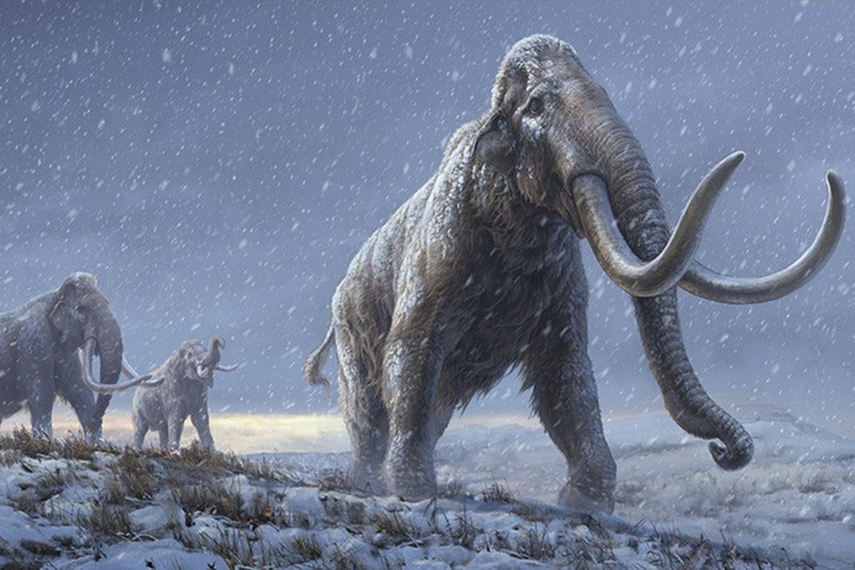 Ilustrasi mammoth, ilmuwan mengurutkan DNA dari gigi mammoth Amerika Utara dan menemukan DNA purba tertua. Studi genom mengungkap evolusi mammoth, mamalia raksasa Zaman Es.