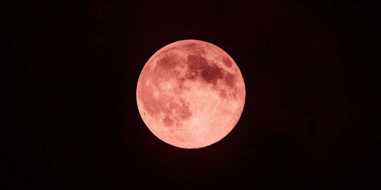 Ilustrasi bulan strawberry atau strawberry moon