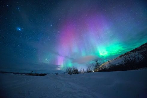 Warganet Pertanyakan Mengapa Aurora Tak Muncul di Langit Indonesia, Ini Penjelasan BRIN