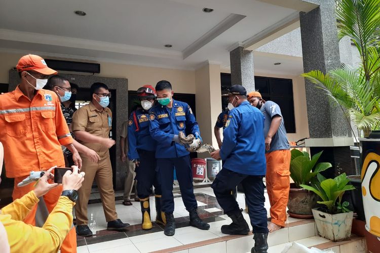 Evakuasi ular sanca sepanjang kurang lebih 2 meter dari Kantor Lurah Gondangdia, Menteng, Jakarta Pusat, Senin (26/10/2020)