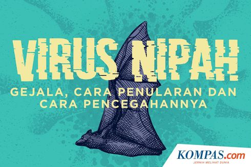 INFOGRAFIK: Mengenal Apa Itu Virus Nipah, dari Gejala, Cara Penularan hingga Pencegahannya