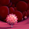 Studi Baru Ungkap, Virus Corona Bermutasi Dua Kali dalam Sebulan